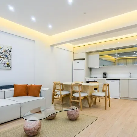 Chic And Spacious Flat Near Golden Horn In Beyoglu